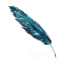 cropped-blue-feather-nox.png